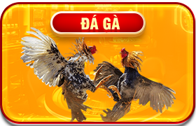 đá gà