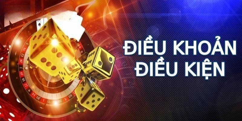 dieu-khoan-dieu-kien-muc-dich-chinh
